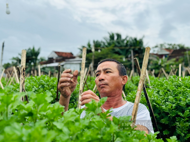 Quảng Ngãi: Có những nơi ánh sáng chưa bao giờ được “ngủ” suốt gần cả mùa đông - Ảnh 6.